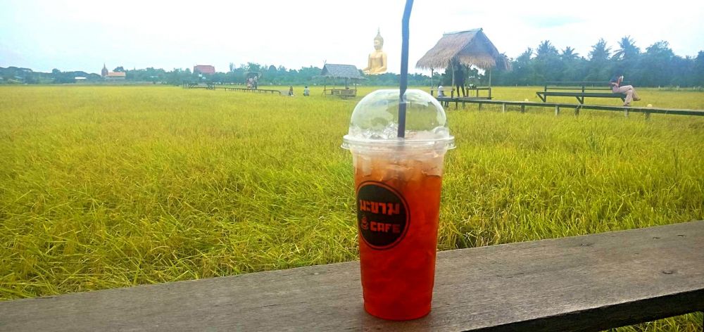 ※現在は稲刈りが終了しており緑色の田園風景は臨めません