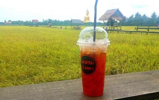 ※現在は稲刈りが終了しており緑色の田園風景は臨めません