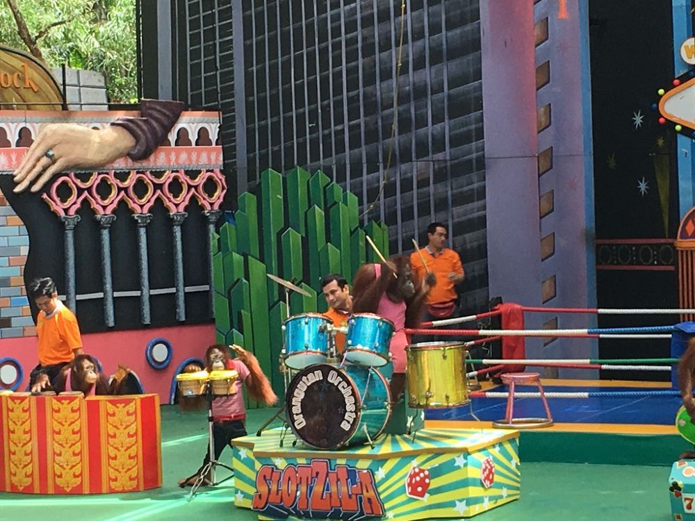 【特価】《タイ語ドライバー送迎付き》サファリワールド (バンコク発) 6