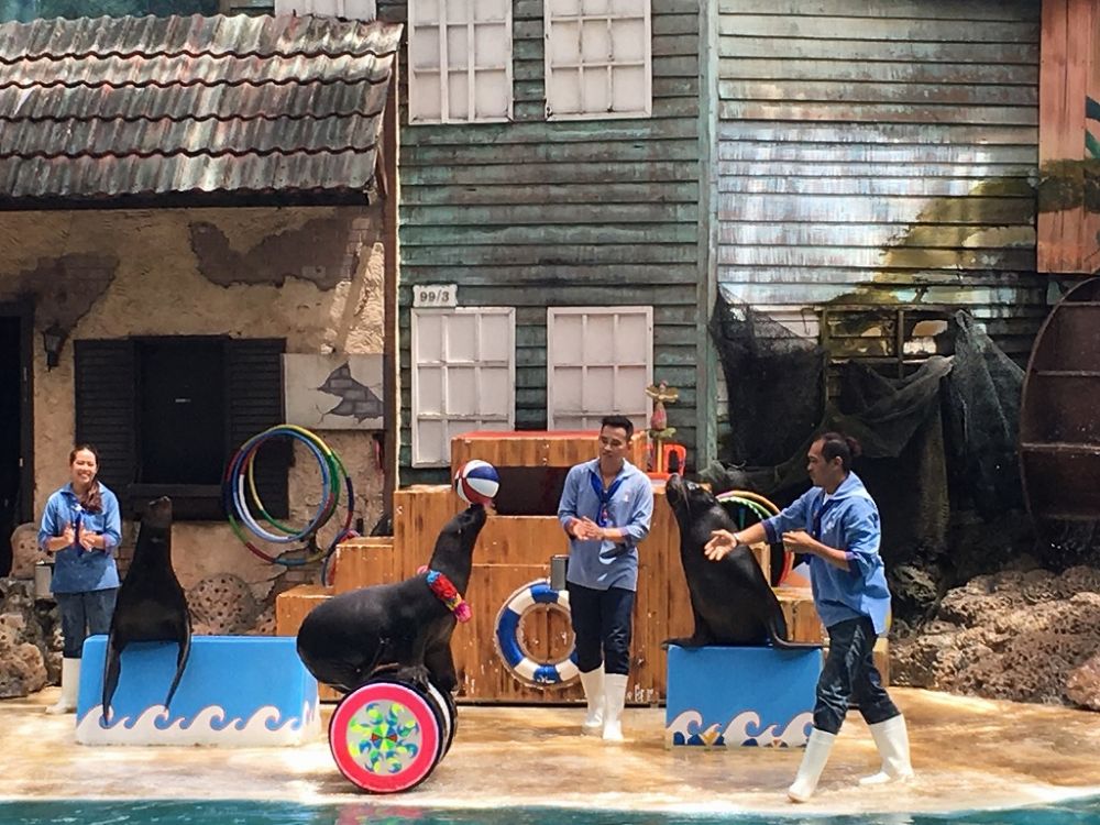 【特価】《タイ語ドライバー送迎付き》サファリワールド (バンコク発) 4