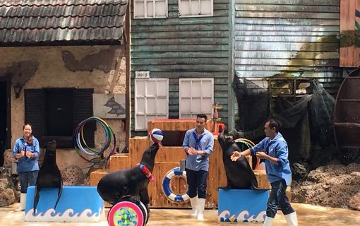 【特価】《タイ語ドライバー送迎付き》サファリワールド (バンコク発) 4