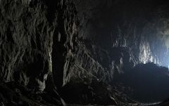 ≪英語ガイド≫世界遺産・ムル国立公園2泊3日　（コタキナバル発） 2