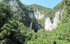 ≪英語ガイド≫世界遺産・ムル国立公園2泊3日　（コタキナバル発） 4