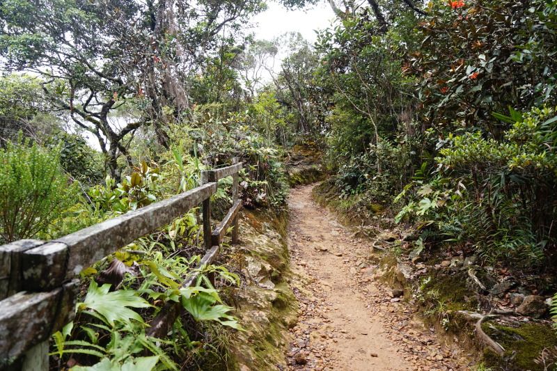 キナバル登山路
