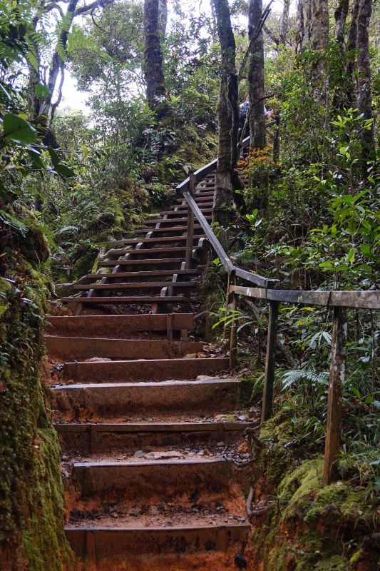 キナバル登山路