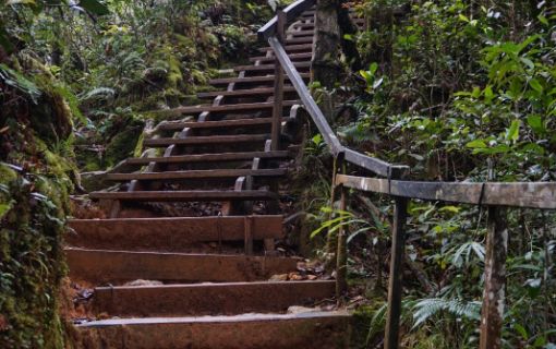 キナバル登山路