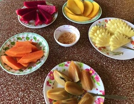 【ホーチミン発】メコン川蛍ツアー 6