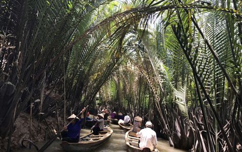 【ホーチミン発】メコン川蛍ツアー 2