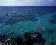 シュノーケリング