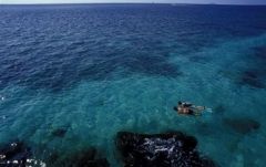 シュノーケリング