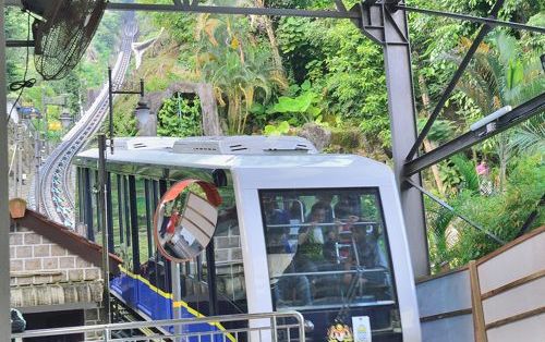 絶景！ケーブルカーで行くペナンヒルの夜景＆極楽寺観光＜夕方発観光＞ 5