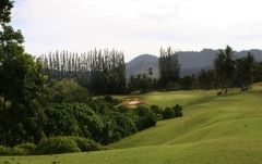 プーケット・カントリー・クラブ (プーケット) 6