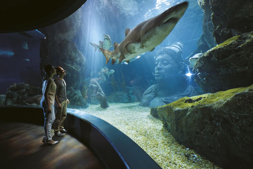 水族館＆4Dシアター /  サイアム・シーライフ・オーシャン・ワールド (水族館, バンコク) 1