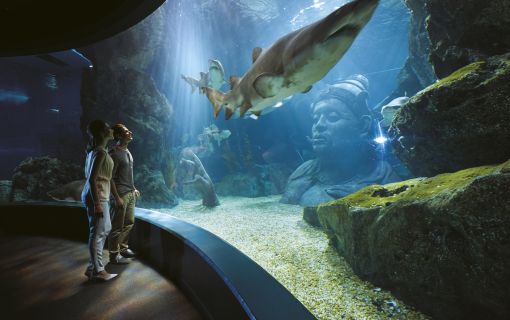 水族館＆4Dシアター /  サイアム・シーライフ・オーシャン・ワールド (水族館, バンコク)