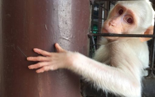 動物園