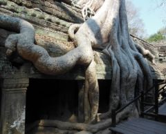 タ・プロム寺院