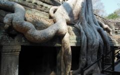 タ・プロム寺院