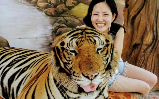 【特価】シラチャー・タイガーズー (バンコク発) 2