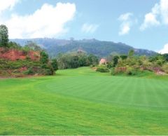 (未編集)レッドマウンテン ゴルフクラブ 8