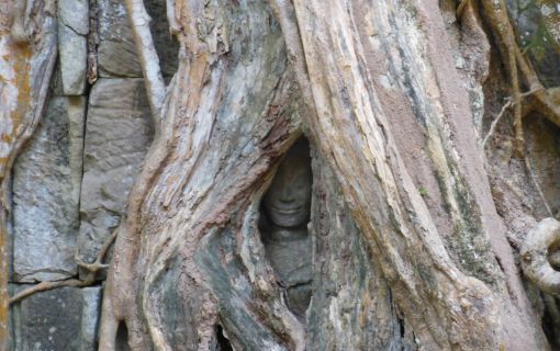 アンコールトムとタプロム半日観光（午前・午後発） 2