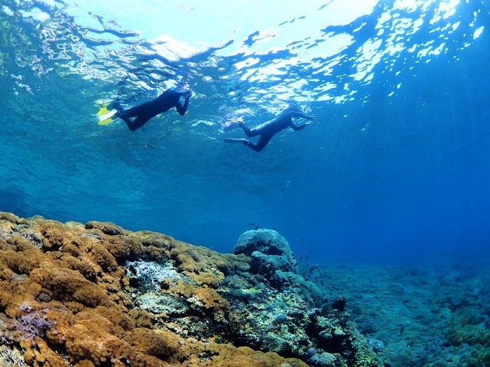 シュノーケリング