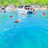 トローリング＆フィッシング 