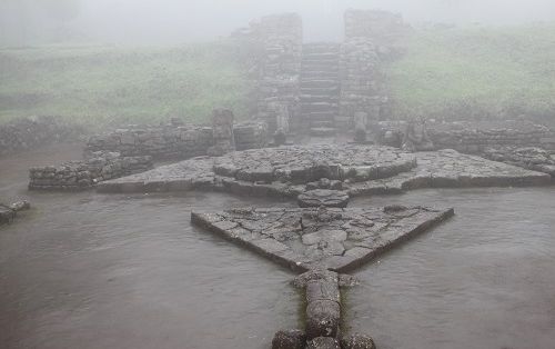 【ジャカルタ発】インドネシアの3大世界遺産ボロブドゥール遺跡、プランバナン遺跡、サンギラン初期人類遺跡を巡る2泊3日ツアー 7
