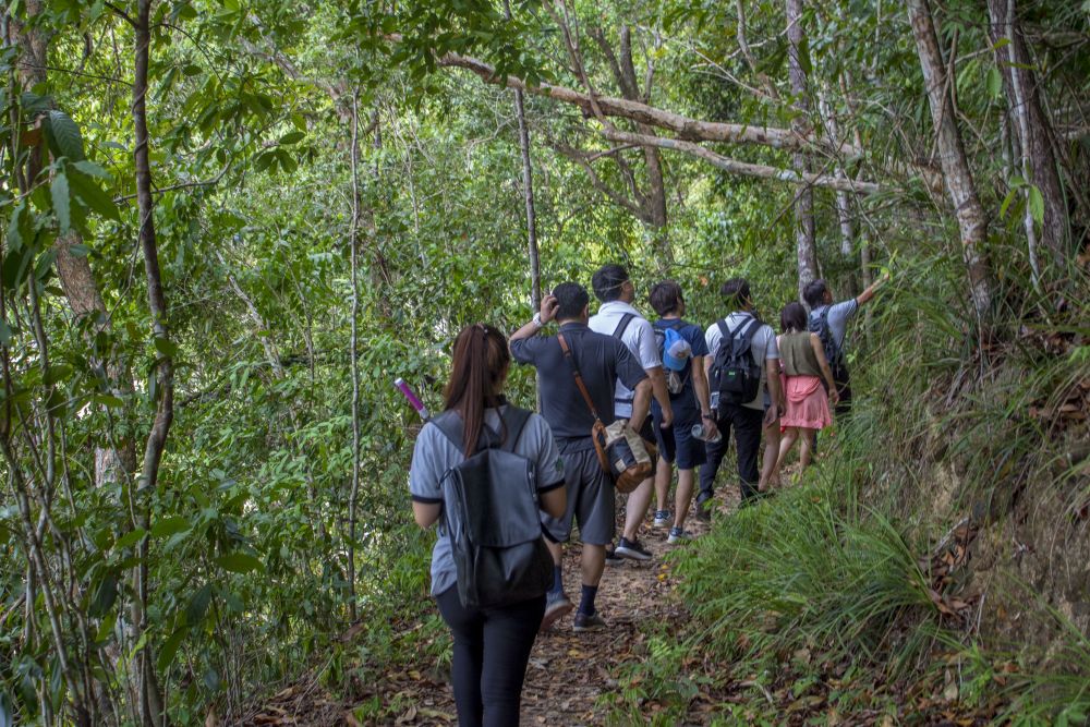 ガヤ島トレッキングとシュノーケル　（コタキナバル発） 1