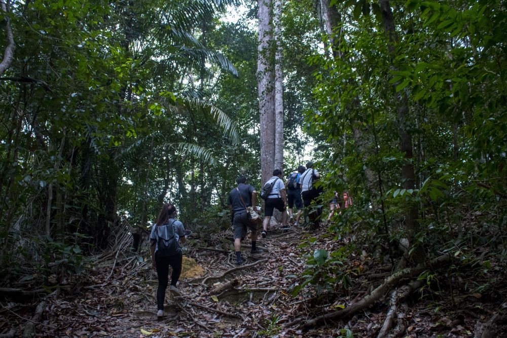 ガヤ島トレッキングとシュノーケル　（コタキナバル発） 3