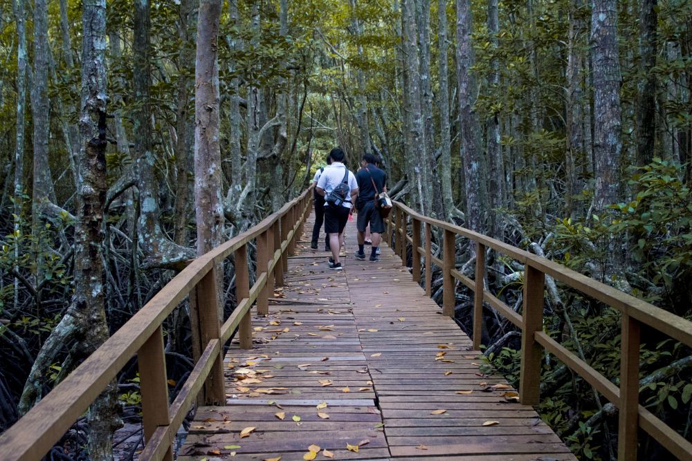 ガヤ島トレッキングとシュノーケル　（コタキナバル発） 2