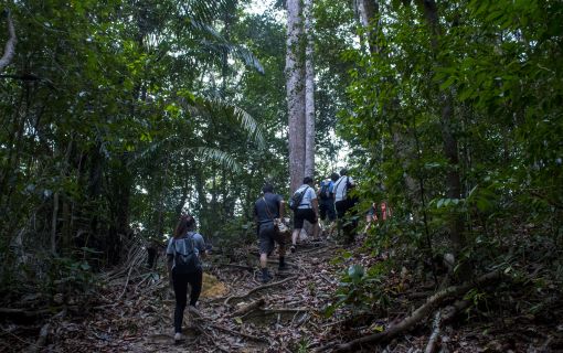 ガヤ島トレッキングとシュノーケル　（コタキナバル発） 3