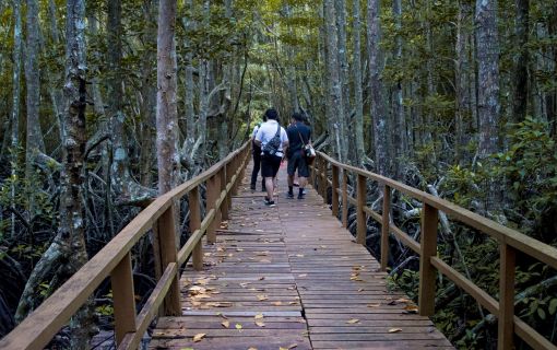 ガヤ島トレッキングとシュノーケル　（コタキナバル発） 2