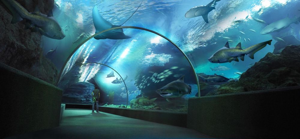 【10月末までのプロモーションあり♪】サイアム・シーライフ・オーシャン・ワールド (水族館, バンコク) 15