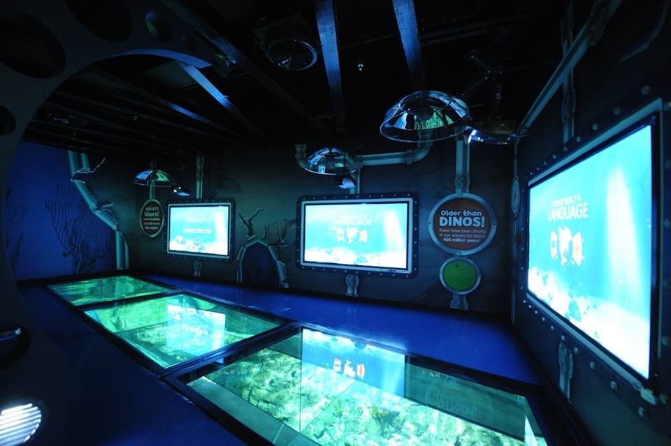 【10月末までのプロモーションあり♪】サイアム・シーライフ・オーシャン・ワールド (水族館, バンコク) 5