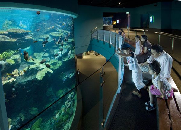 【10月末までのプロモーションあり♪】サイアム・シーライフ・オーシャン・ワールド (水族館, バンコク) 16