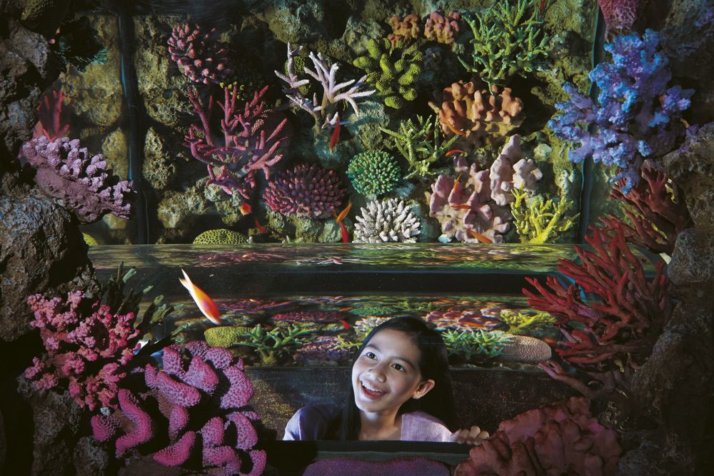 【10月末までのプロモーションあり♪】サイアム・シーライフ・オーシャン・ワールド (水族館, バンコク) 13