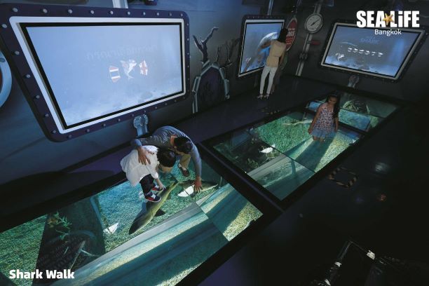 【10月末までのプロモーションあり♪】サイアム・シーライフ・オーシャン・ワールド (水族館, バンコク) 17