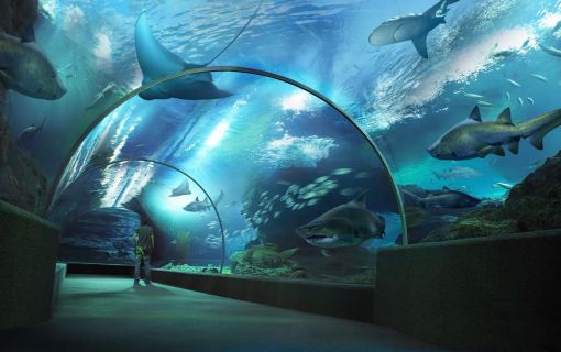 【10月末までのプロモーションあり♪】サイアム・シーライフ・オーシャン・ワールド (水族館, バンコク) 15