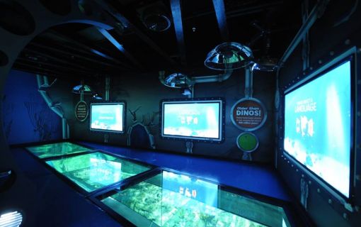 【10月末までのプロモーションあり♪】サイアム・シーライフ・オーシャン・ワールド (水族館, バンコク) 5