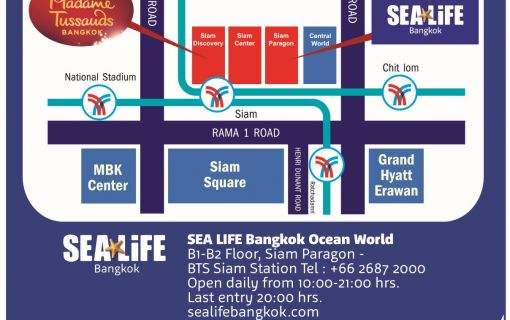 【10月末までのプロモーションあり♪】サイアム・シーライフ・オーシャン・ワールド (水族館, バンコク) 18