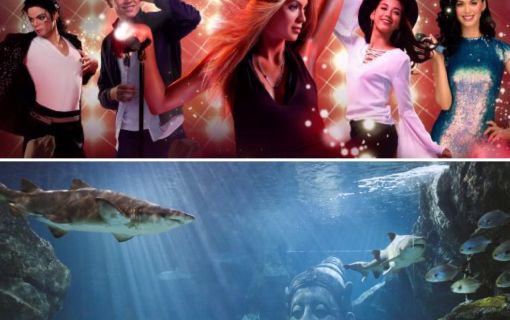 【10月末までのプロモーション！】水族館とマダムタッソー / サイアム・シーライフ・オーシャン・ワールド (水族館, バンコク)