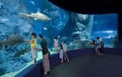 【10月末までのプロモーションあり♪】サイアム・シーライフ・オーシャン・ワールド (水族館, バンコク) 14