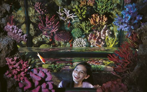 【10月末までのプロモーションあり♪】サイアム・シーライフ・オーシャン・ワールド (水族館, バンコク) 13