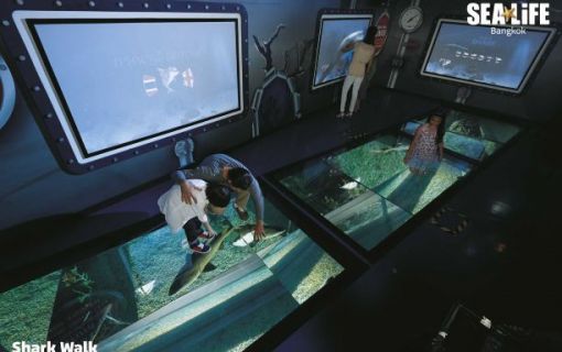 【10月末までのプロモーションあり♪】サイアム・シーライフ・オーシャン・ワールド (水族館, バンコク) 17