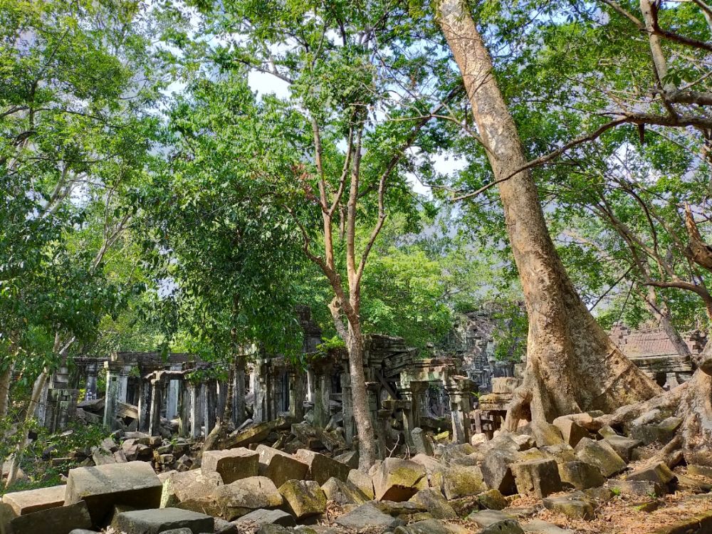 コーケー遺跡とベンメリア1日観光(お弁当付き) 5