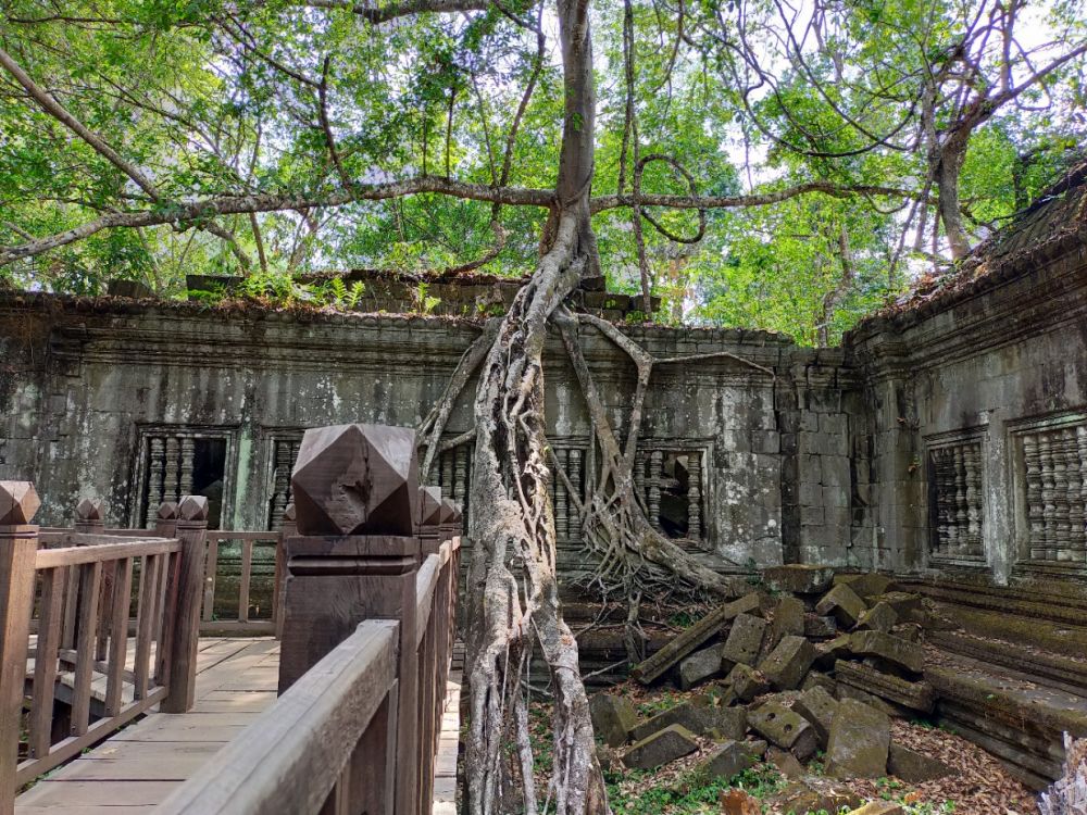 コーケー遺跡とベンメリア1日観光(お弁当付き) 6