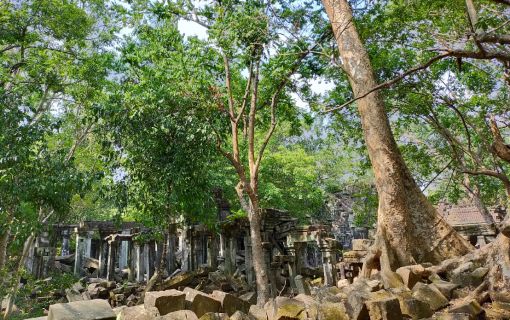 コーケー遺跡とベンメリア1日観光(お弁当付き) 5