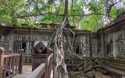 コーケー遺跡とベンメリア1日観光(お弁当付き) 6