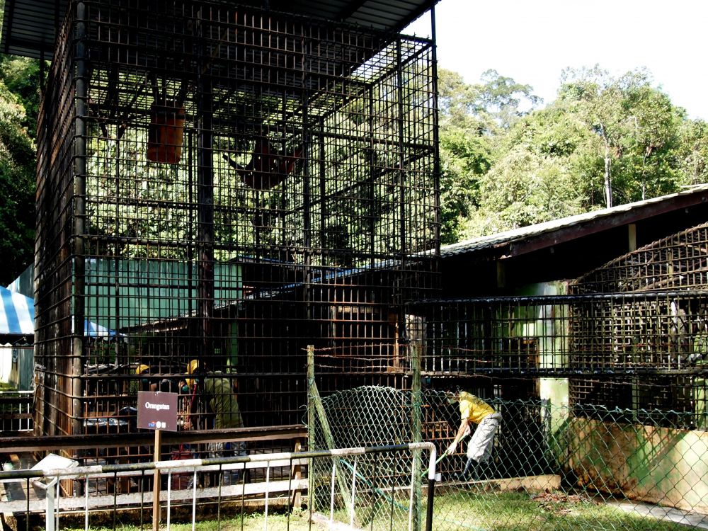 マタン野生動物センター 3