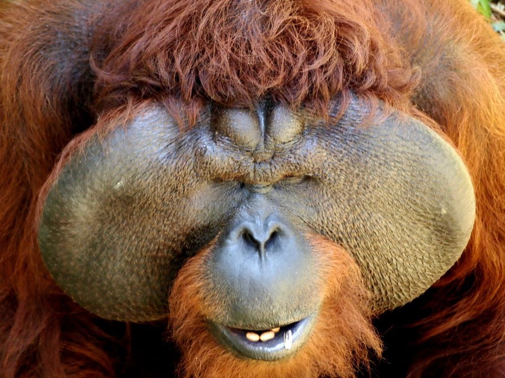 マタン野生動物センター 1